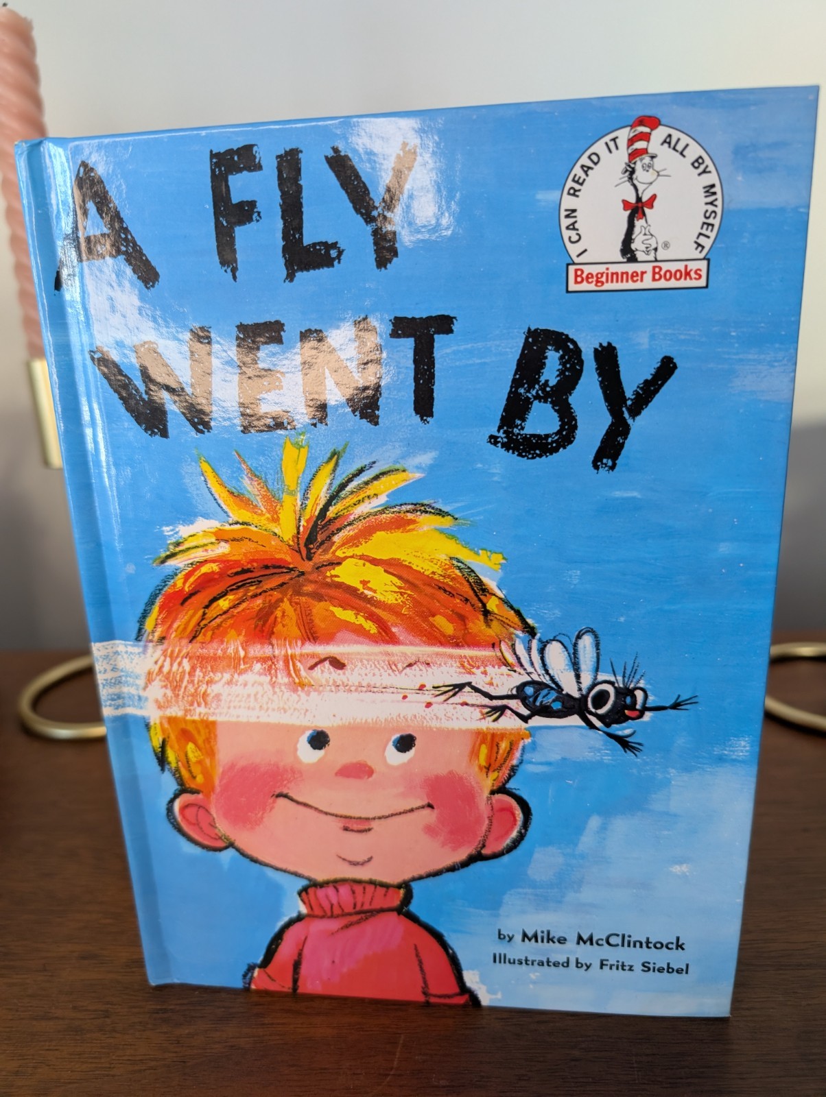 A Fly Went By By Mike McClintock Hardback