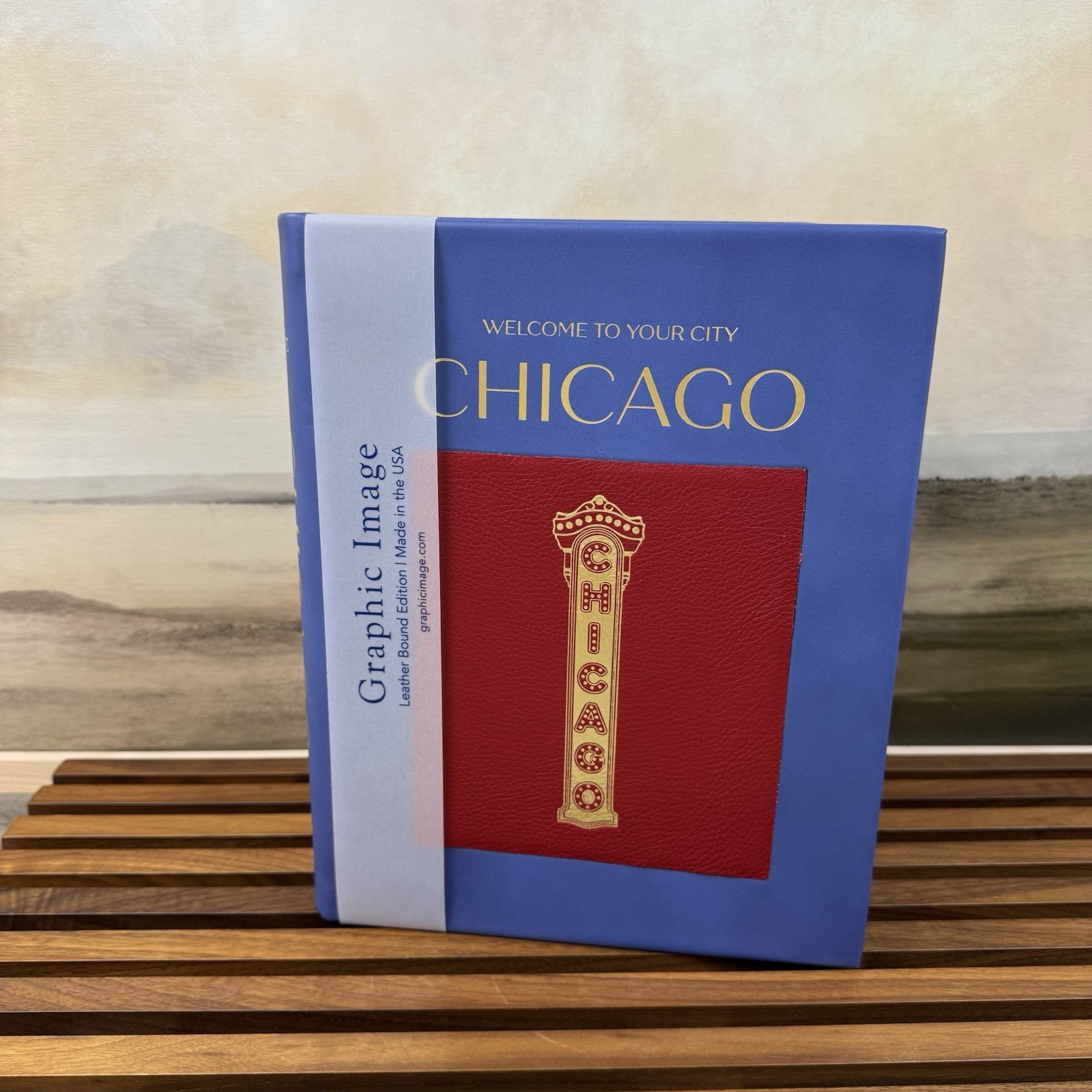 Pottery Barn Leather Trope Chicago Coffee Table Book Blue Red Multi Read OB