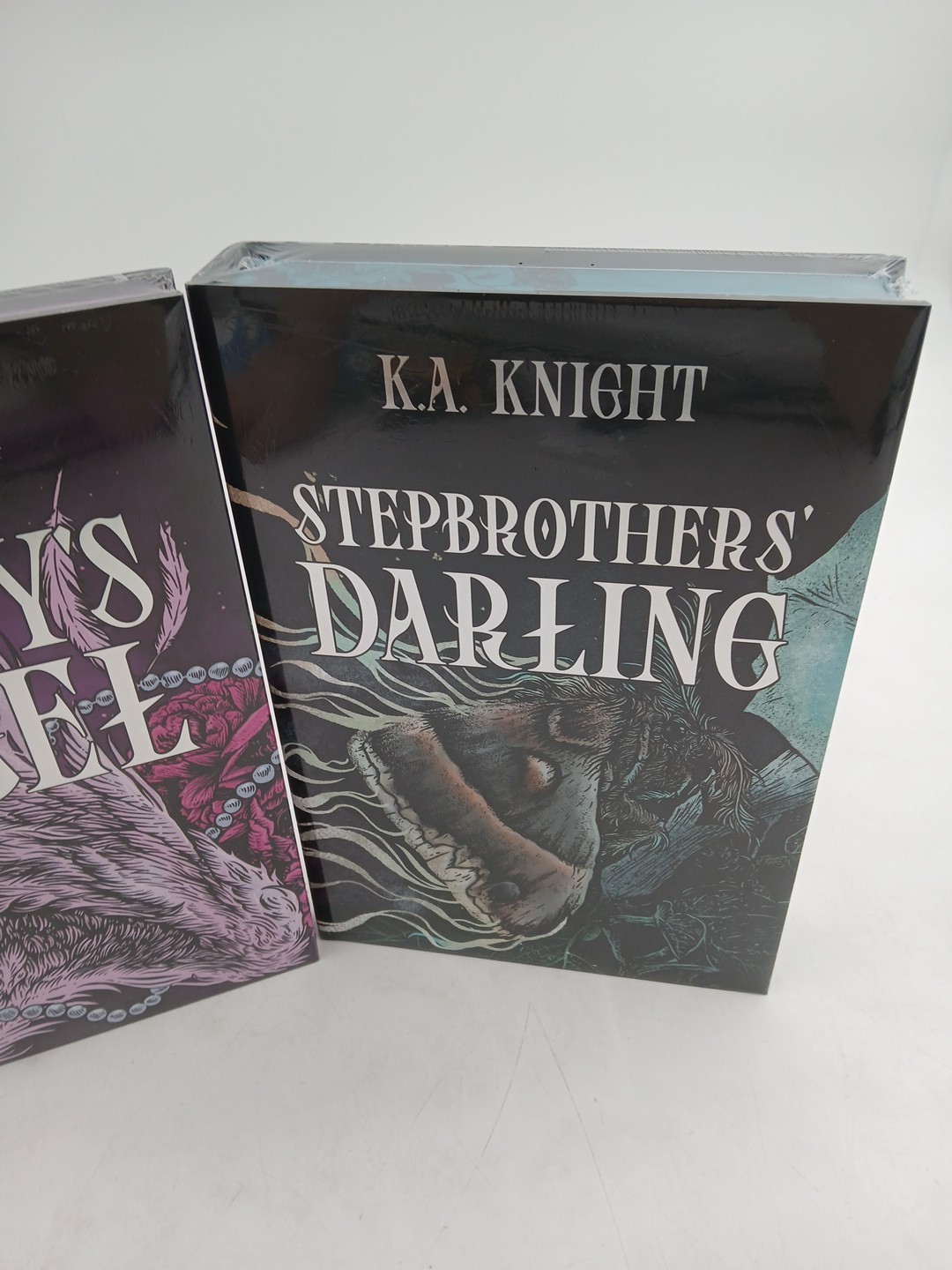 Mystic Book Box K.A Knight Daddy’s Angel & Stepbrother’s Darling Special Edition