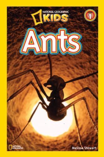 Ants; National Geographic Kids Readers, Level 1 – paperback, Stewart, 1426306083
