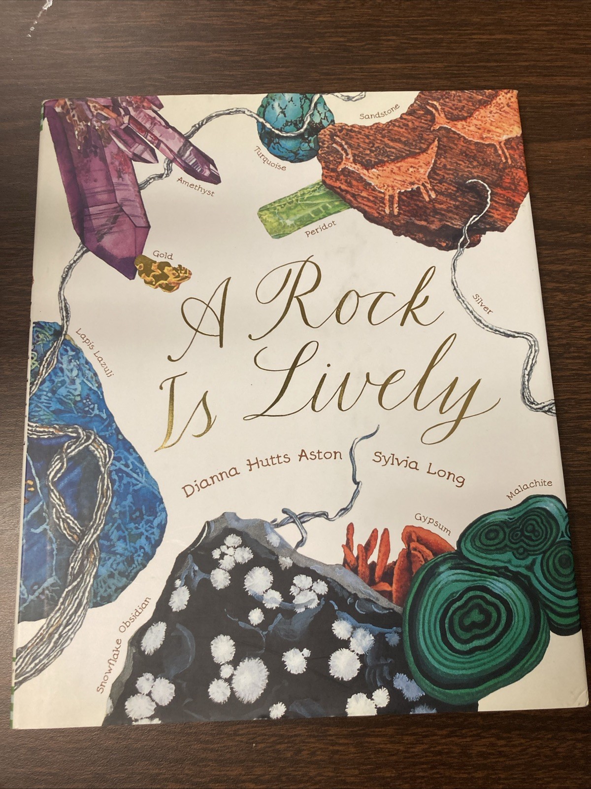 A Rock Is Lively by Dianna Hutts Aston (2012, Hardcover)