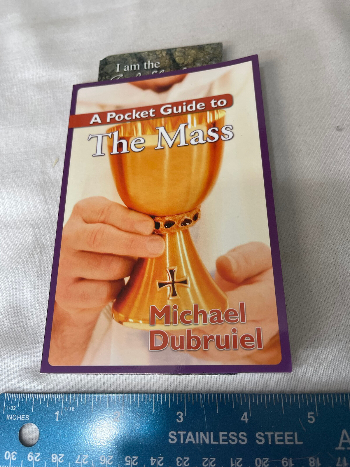 Pocket Guide To Ser.: A Pocket Guide to the Mass by Michael Dubruiel (2007,…