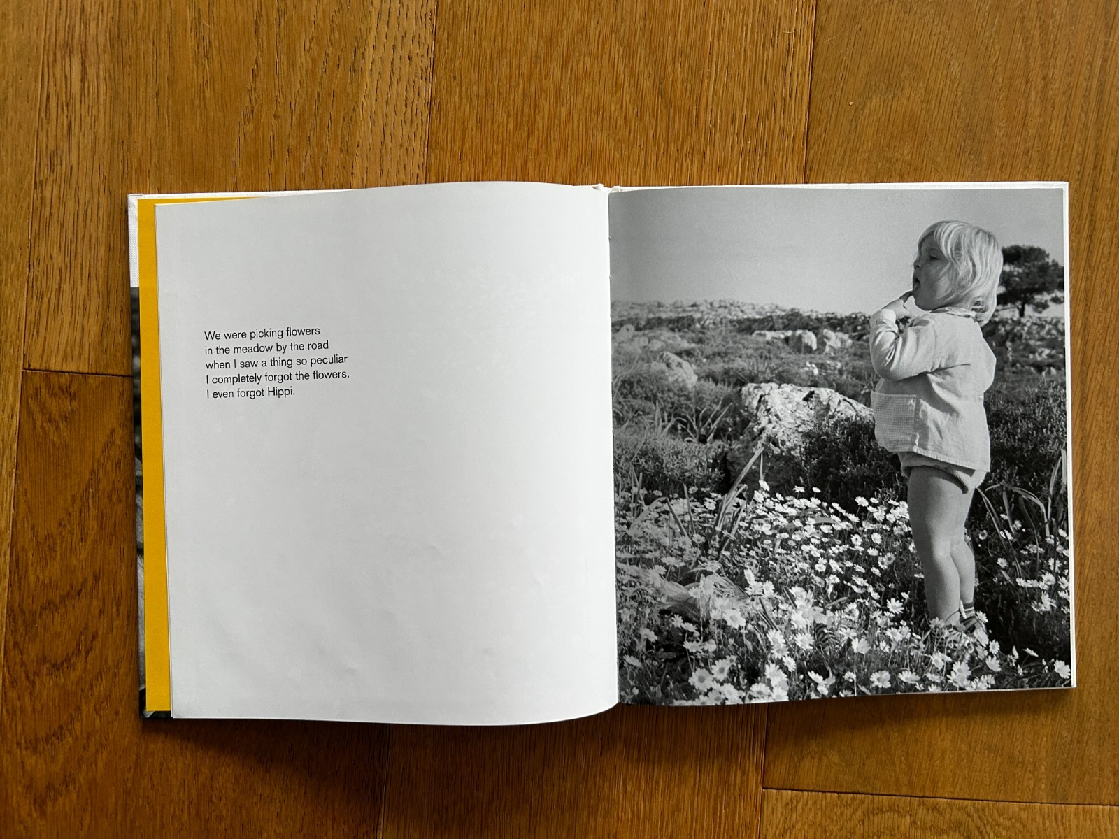 My Pig Paulina by Hans Limmer & David Crossley 2013 Hardcover Book