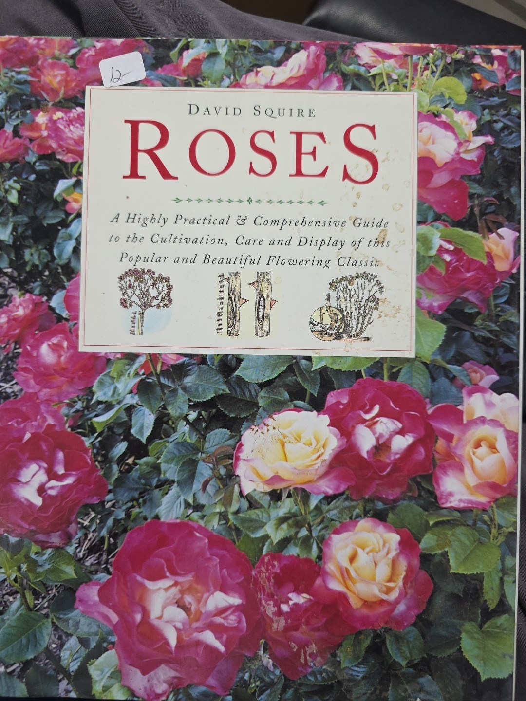 Roses by David Squire (1995, Hardcover)