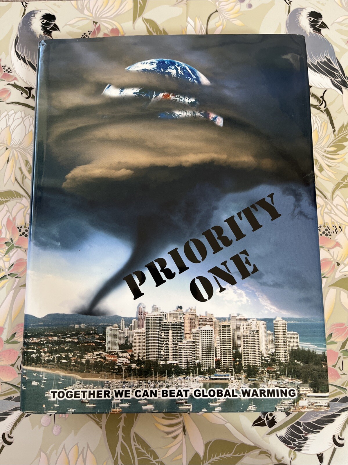 Priority One Together We Can Beat Global Warming Allan J.Yeomans 2005 HC/DJ