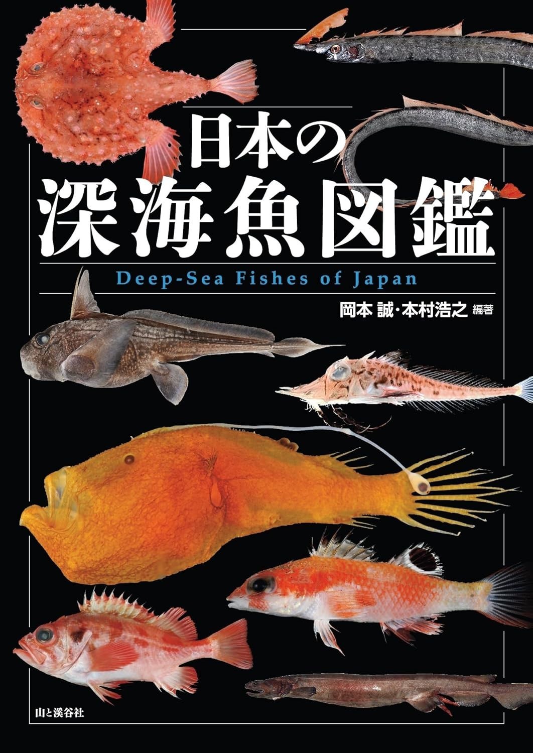 Deep Sea Fishes of Japan Illustrated Guide Specimen Photograph book from Japan