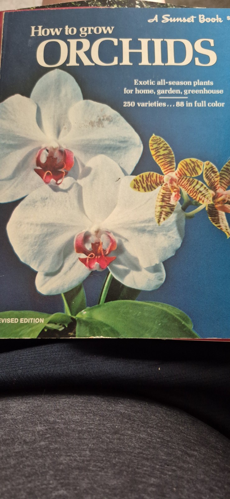 How to Grow Orchids by Sunset Books