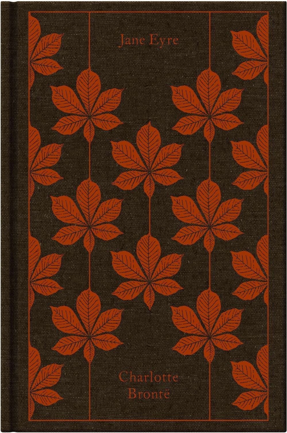 Jane Eyre by Stevie Davies (English) Hardcover Book