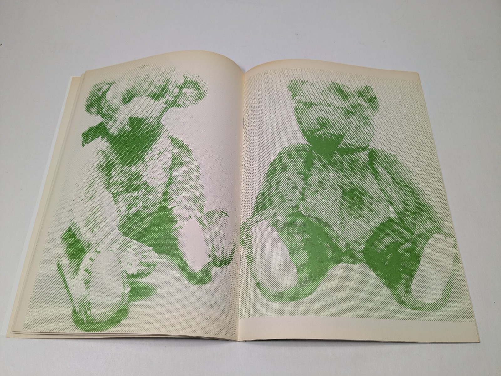 Teddy Bear by Erik Van Der Weijde Paperback Oversize Art Book
