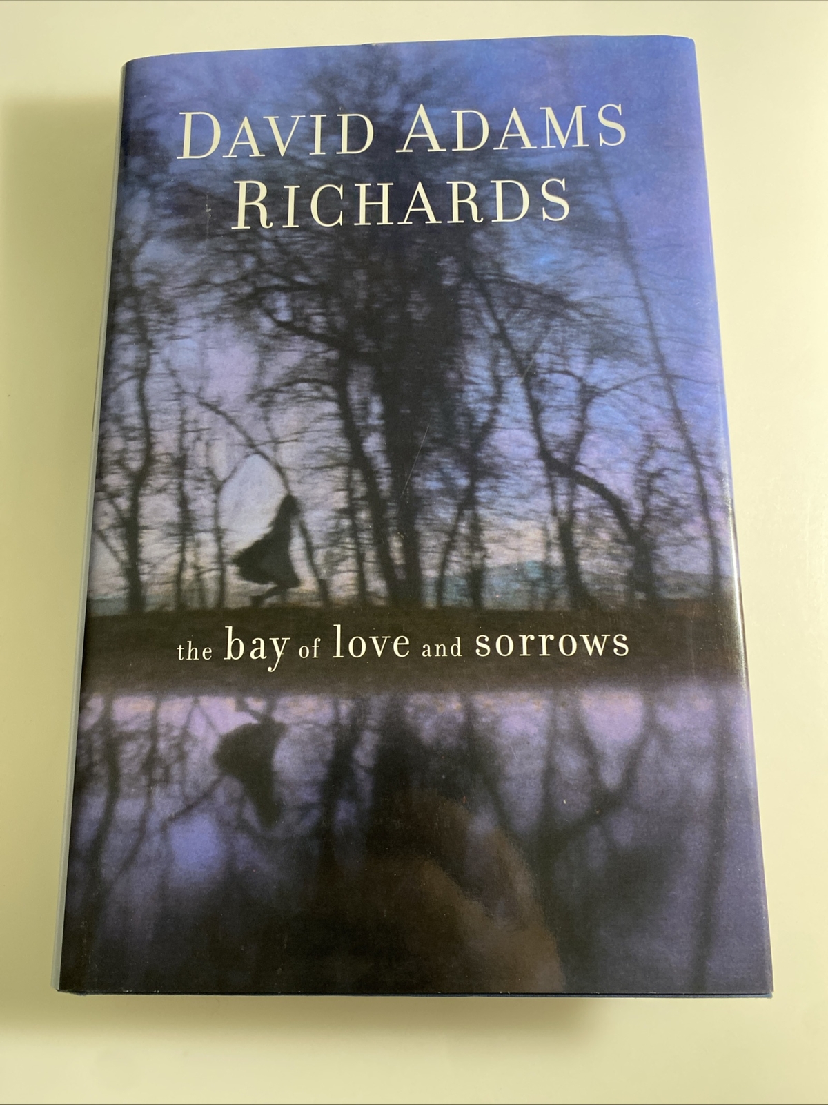 The Bay of Love and Sorrows David Adams Richards (2003, HC) 1st Ed. Unread abzs