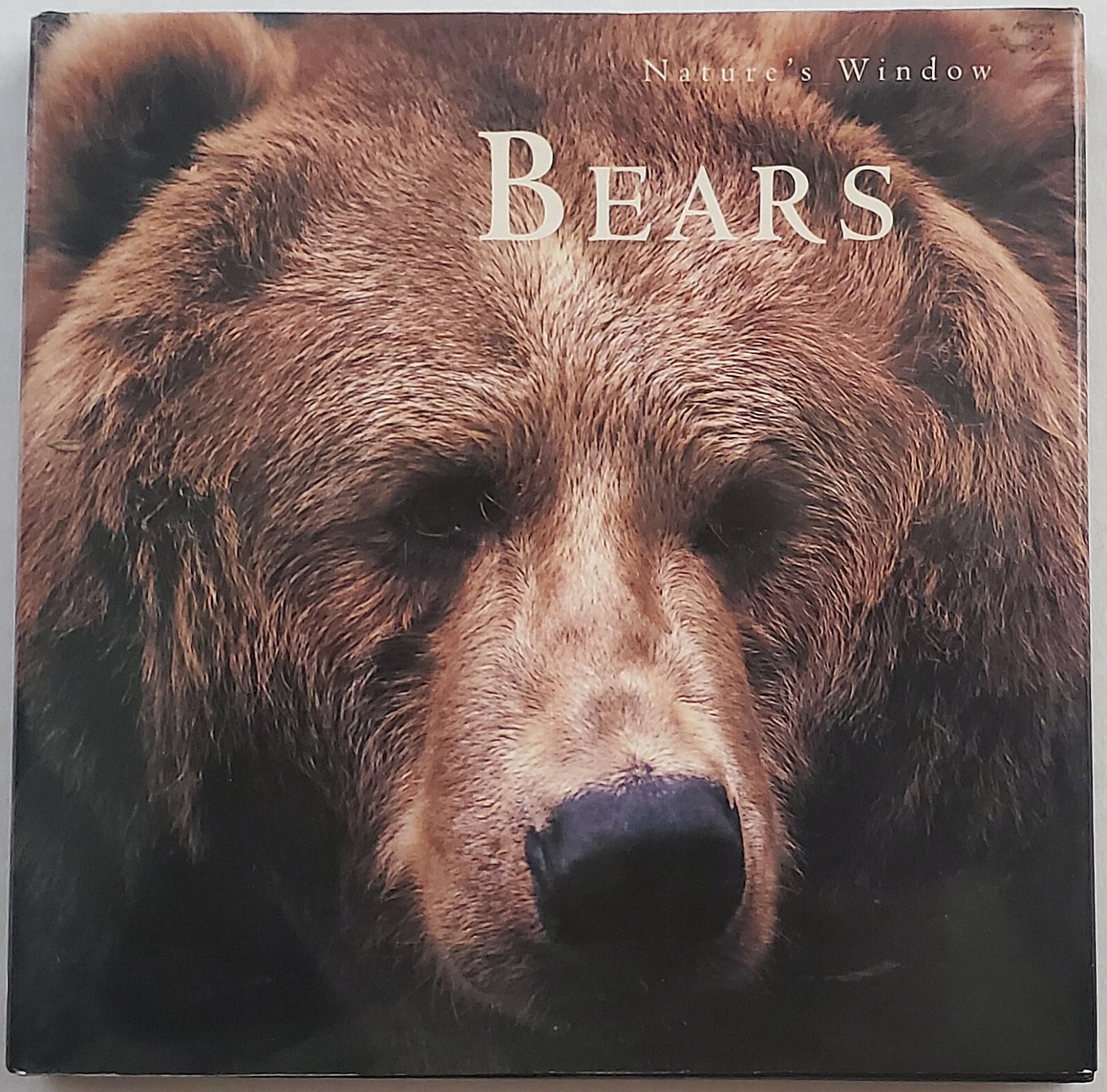 Bears – Nature’s Window by Sheila Buff COMPACT (5 1/4 inches sq.) Hardback Book