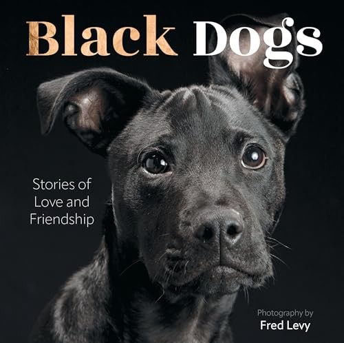 Black Dogs: Stories of Love an – GOOD