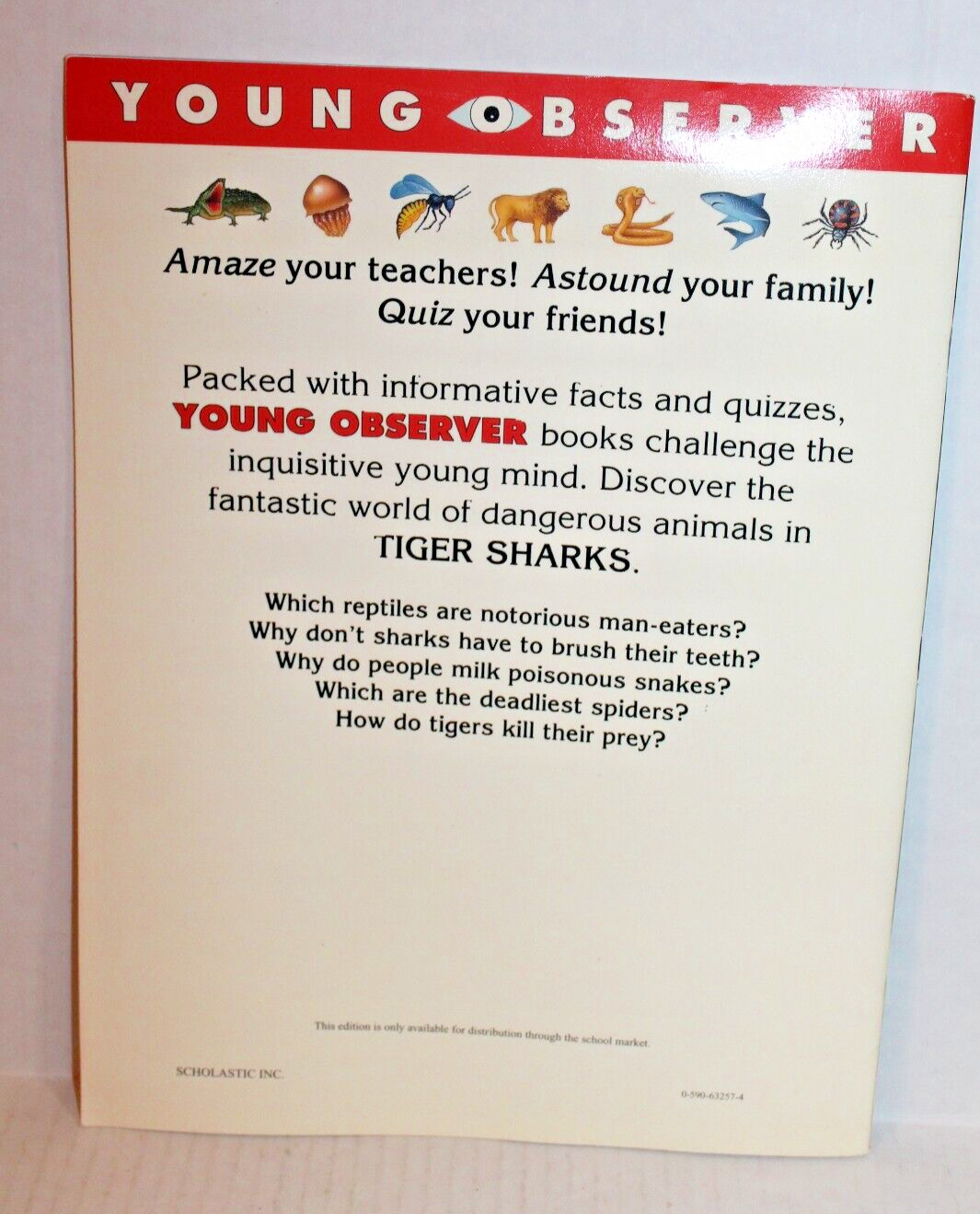 Tiger Sharks and Other Dangerous Animals (Paperback Children’s Book)