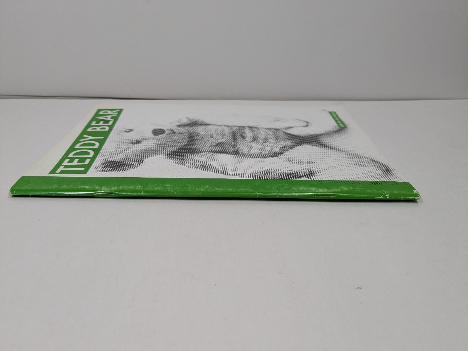 Teddy Bear by Erik Van Der Weijde Paperback Oversize Art Book