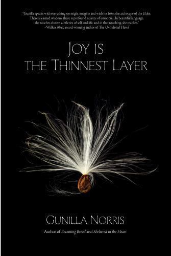 Joy Is the Thinnest Layer by Gunilla Norris (2016, Hardcover)
