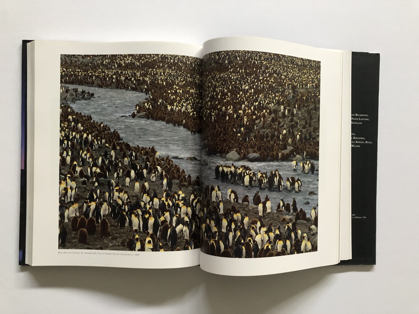 Galen Rowell – ‘A Retrospective’ (2006) First Edition 13″h X 10.5″w 288 Pages
