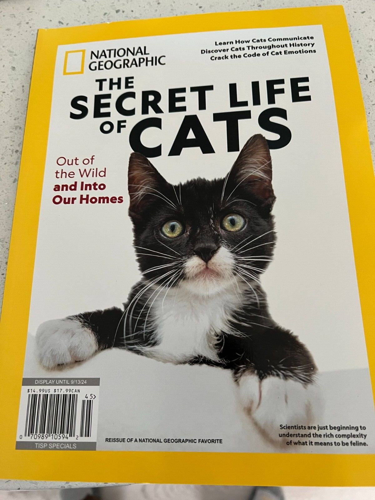 National Geographic Magazine The Secret Life Of Cats 2024