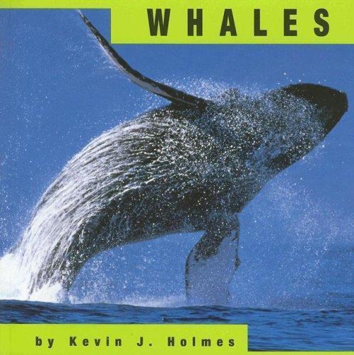 Whales paperback Used – Very Good