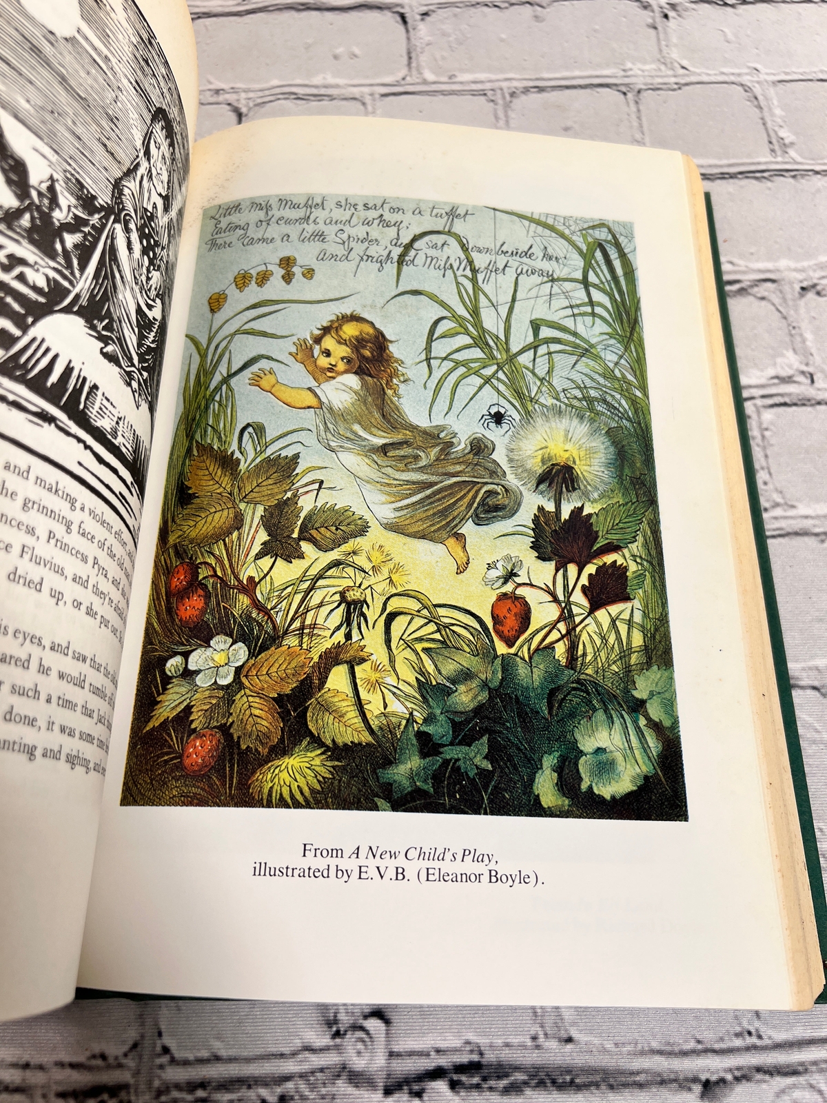 Beyond The Looking Glass Extraordinary Works of Fairy Tale & Fantasy [1st Print