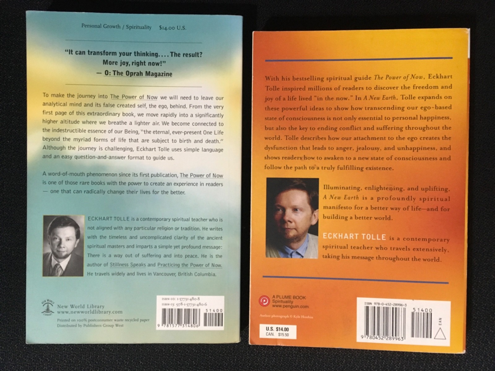Lot ECKHART TOLLE Spiritual Enlightenment THE POWER OF NOW + A NEW EARTH QikShip