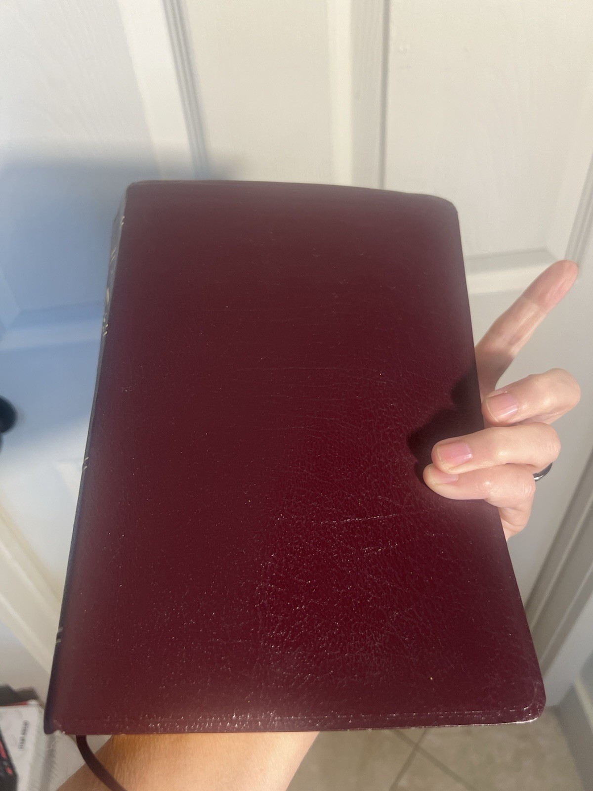 NIV Study Bible Zondervan 1995 New International Vers Leather Burgundy 10th Ann