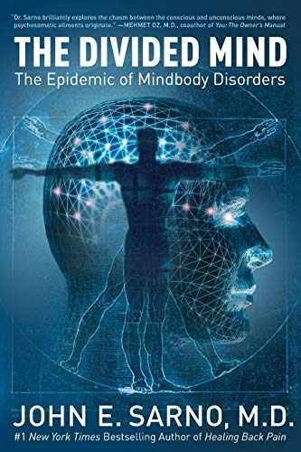 The Divided Mind: The Epidemic of – Paperback, by Sarno John E. – Very Good