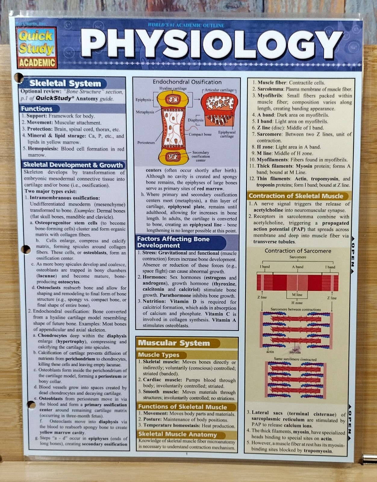 Quick Study Academic – Physiology (2008)