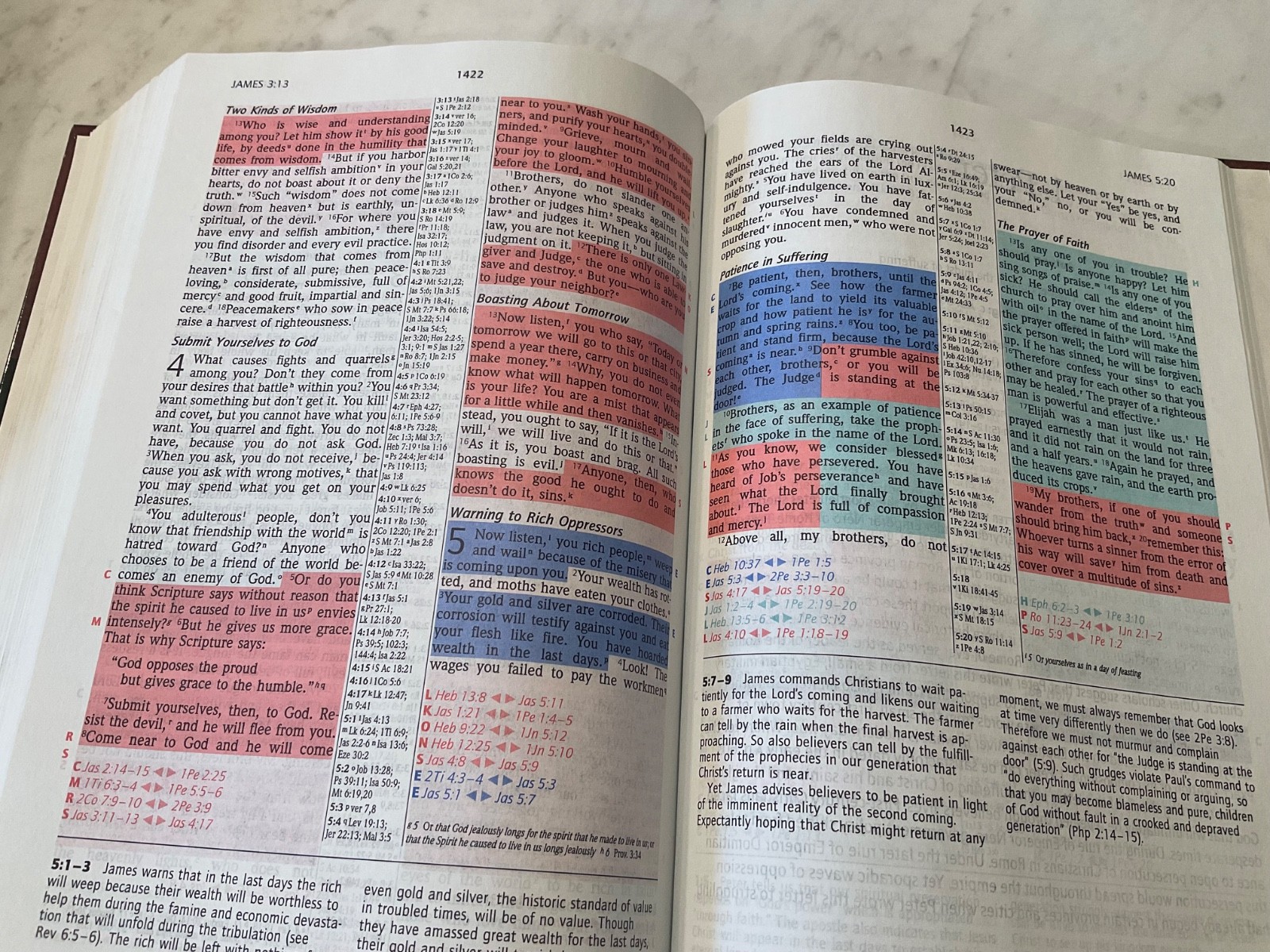 NIV Prophecy Marked Reference Study Bible 1998 Hardcover 1984