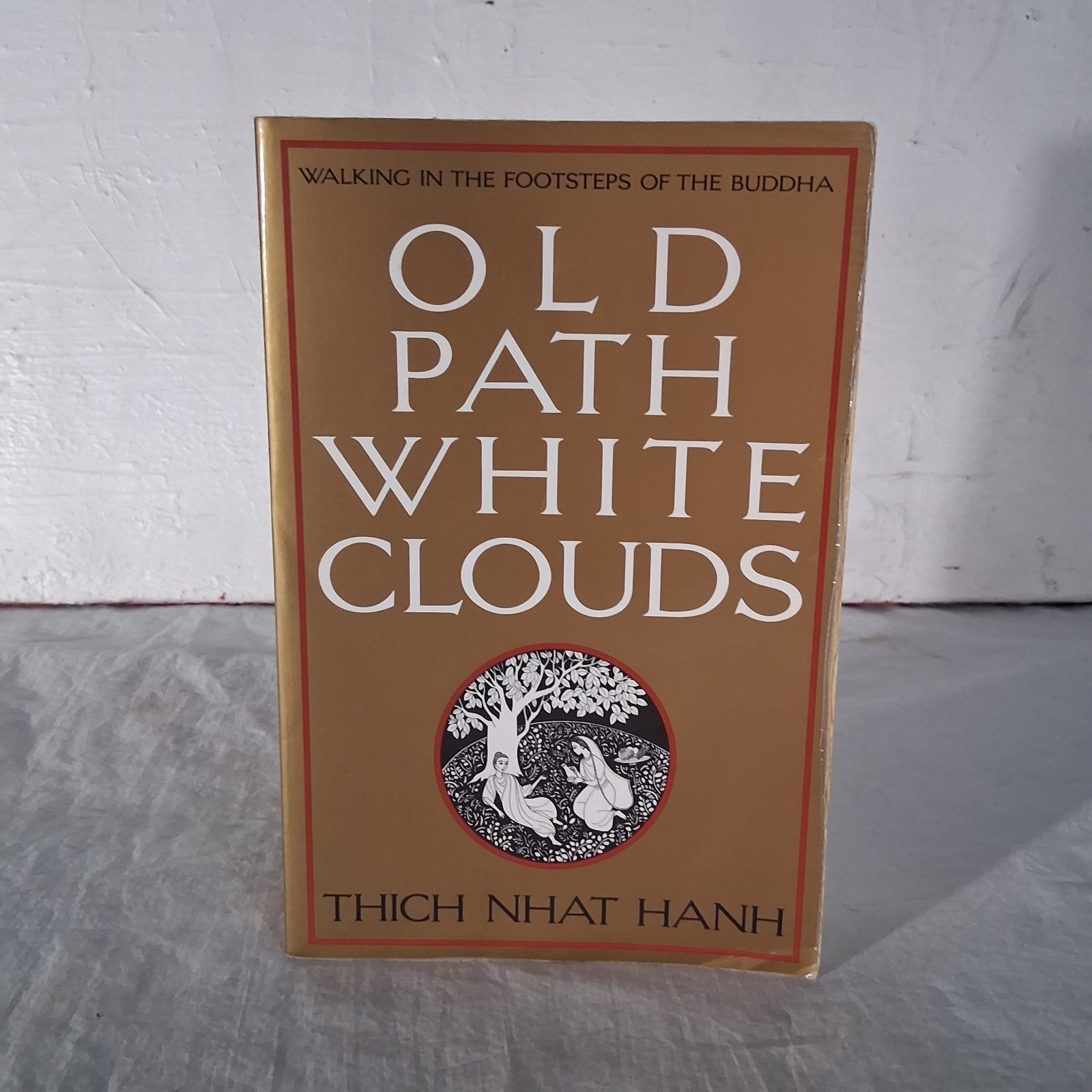 Old Path White Clouds : Walking in the Footsteps of the Buddha – PB