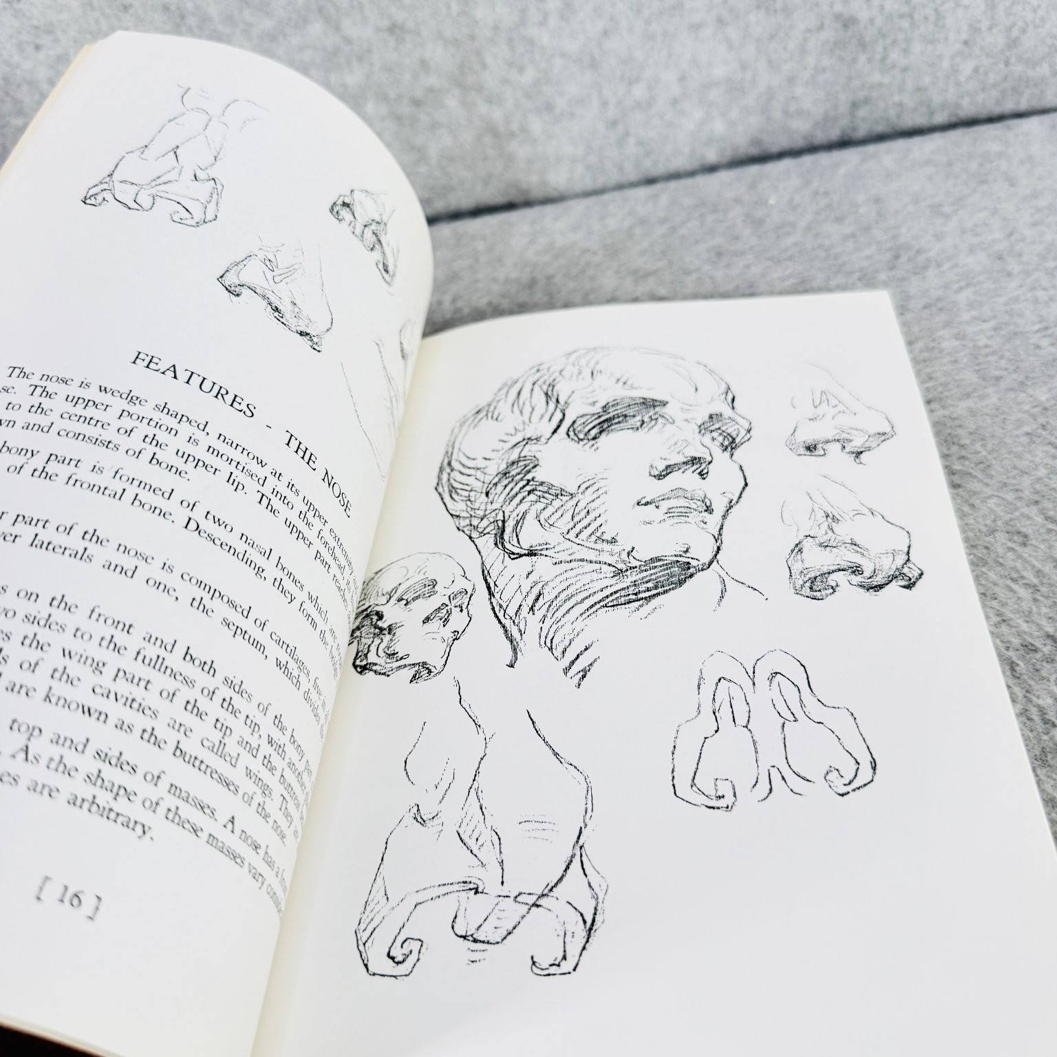 Heads, Features and Faces Bridgman 1974 Dover Edition Art Drawing Anatomy