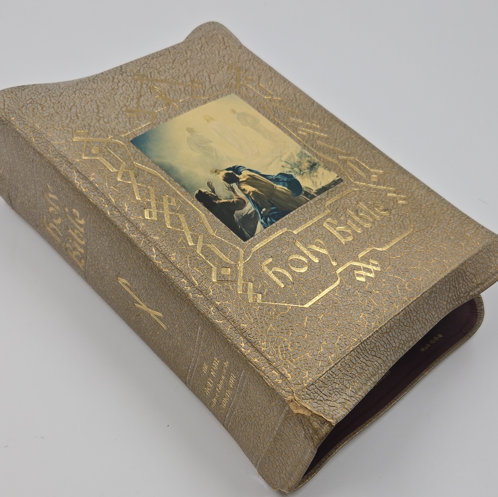 Catholic Press The Holy Bible Confraternity Text 1962 Hardcover Illustrated