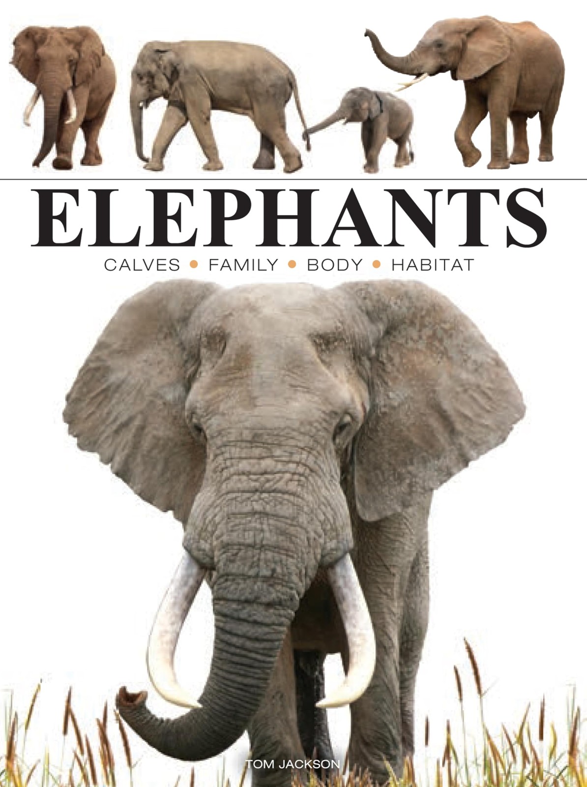 Elephants (Mini Encyclopedia)