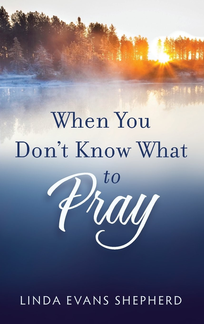 When You Don’t Know What to Pray – Shepherd, Linda Evans – Very Good – See c…