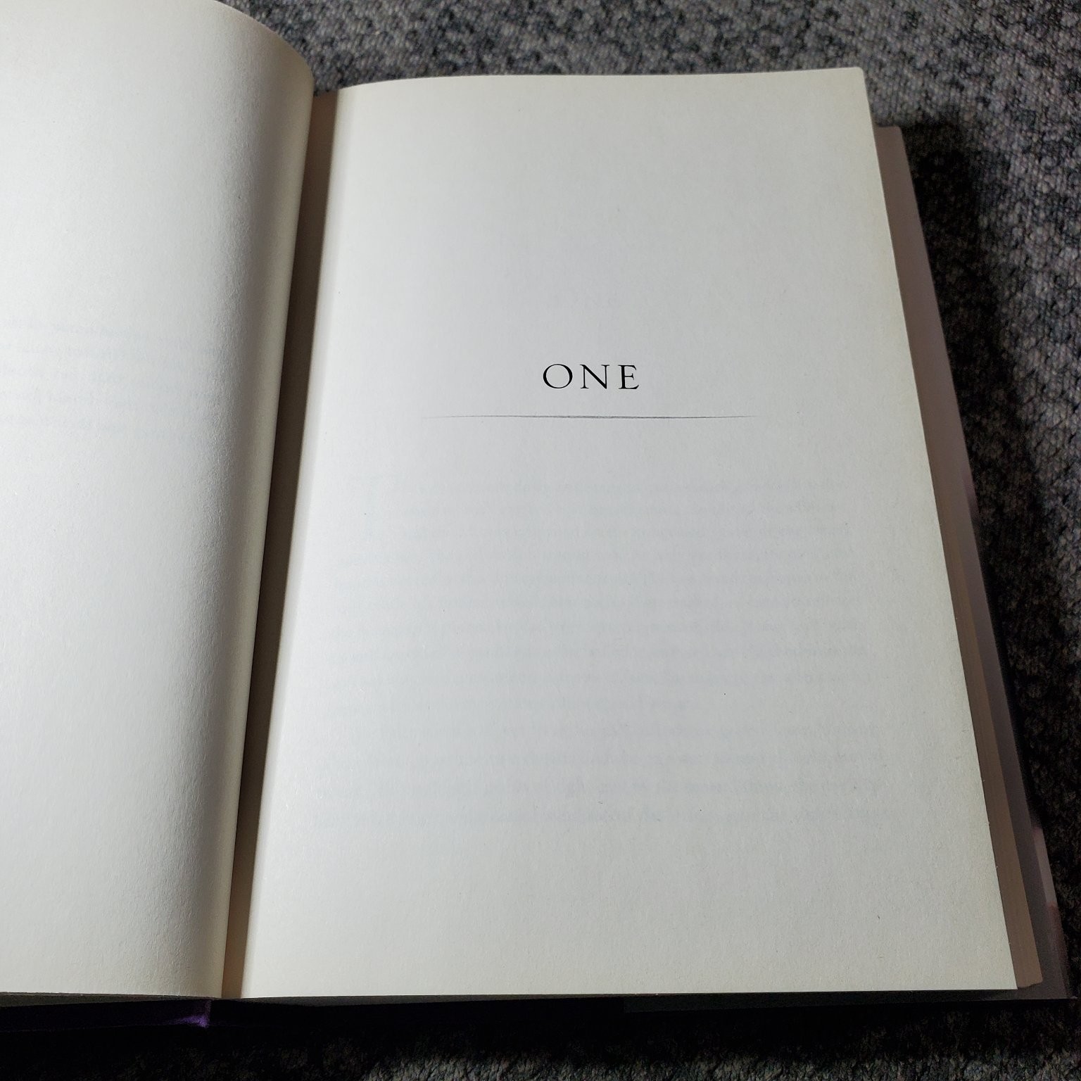 The Divide Nicholas Evans 2005 First Edition Novel Thriller Putnam