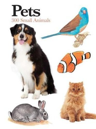Pets: 300 Small Animals by Claudia Martin: New