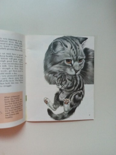 SCIMITAR NP Cats By Jill Hughes 1981 Paperback