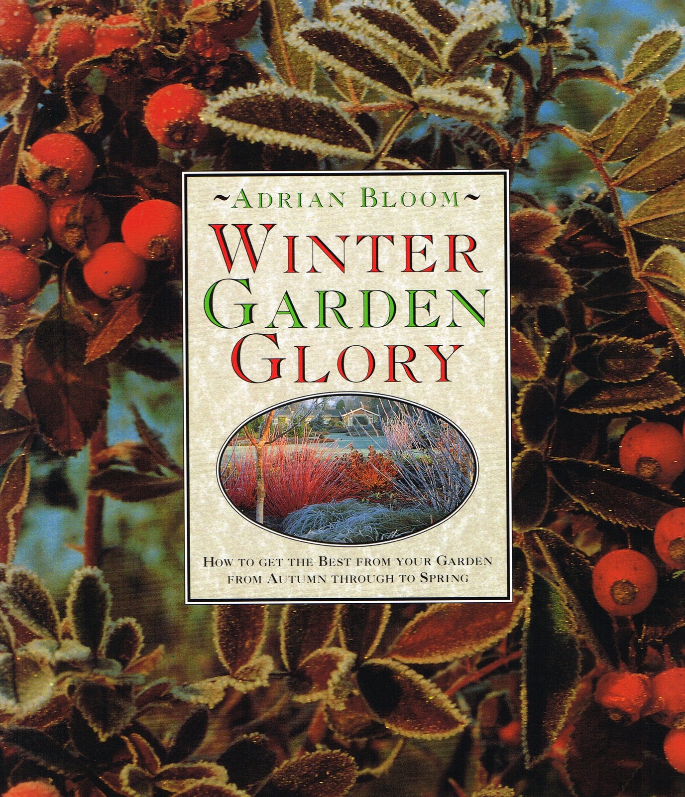Winter Garden Glory: How to Get the Best from Your Garden from Autumn Throug…