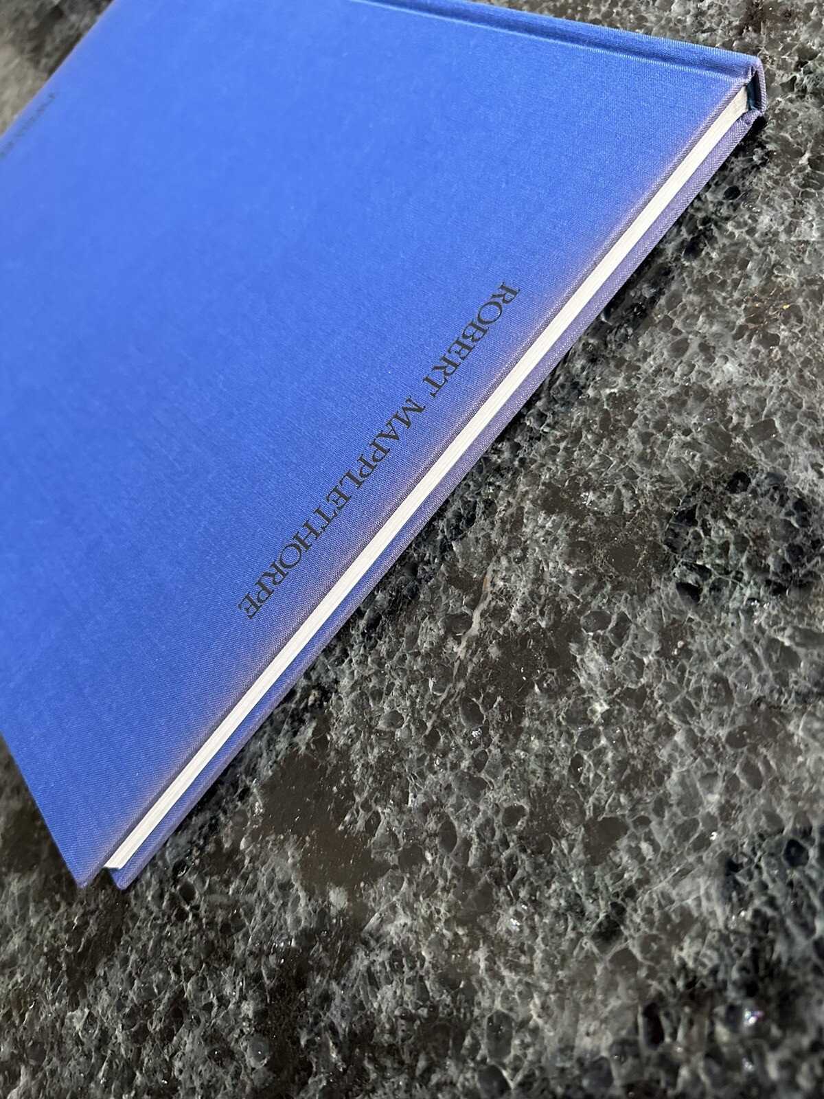 Robert Mapplethorpe Certain People by Susan Sontag 1985 Hardcover