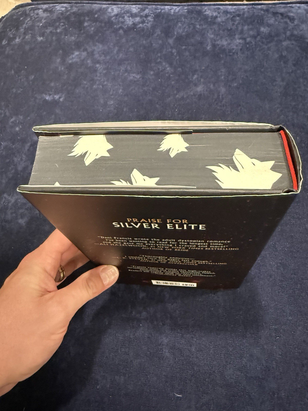 Broken Dove by Dani Francis – Hardcover Deluxe Edition Target Exclusive