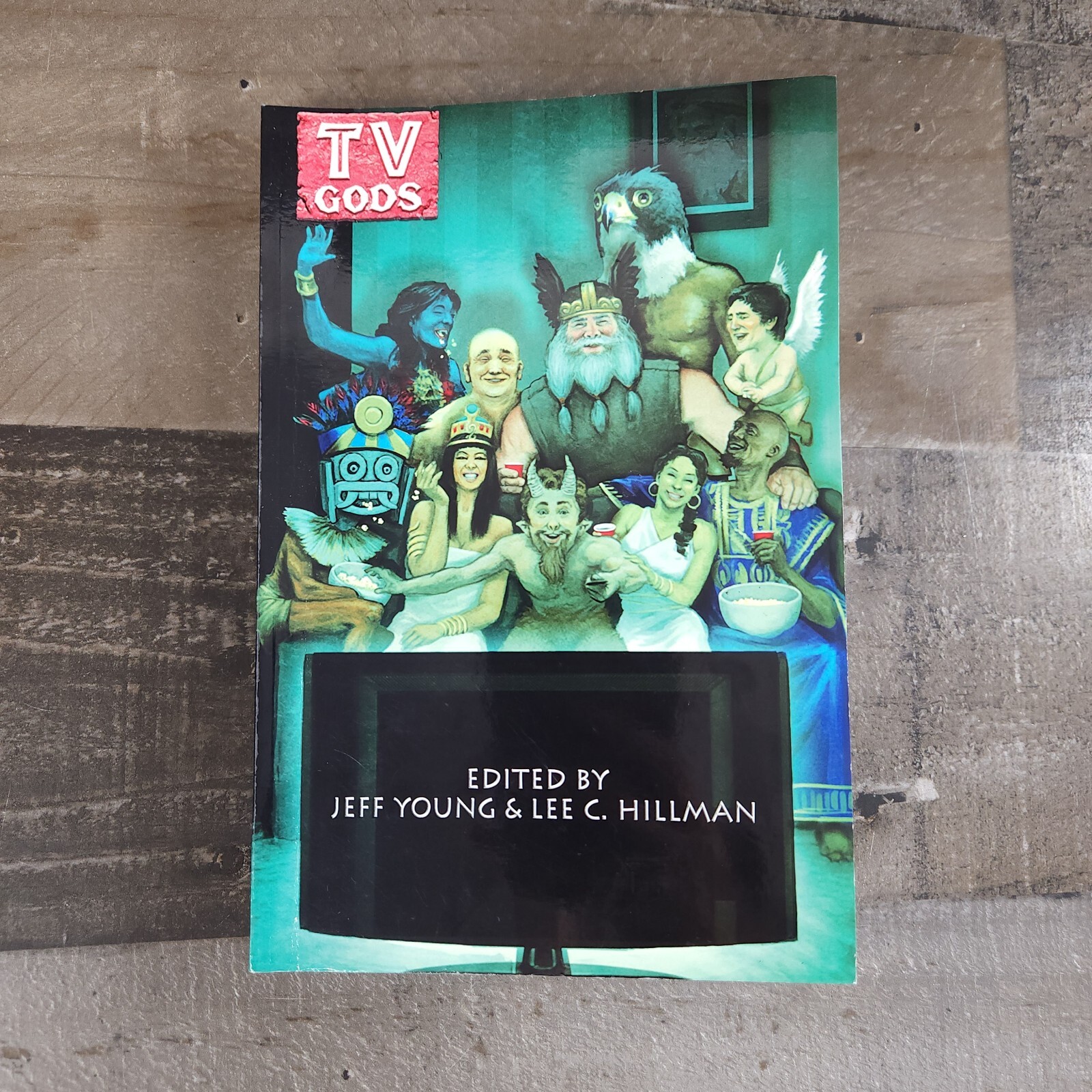 TV GODS By Jeff Young & Lee C. Hillman VG