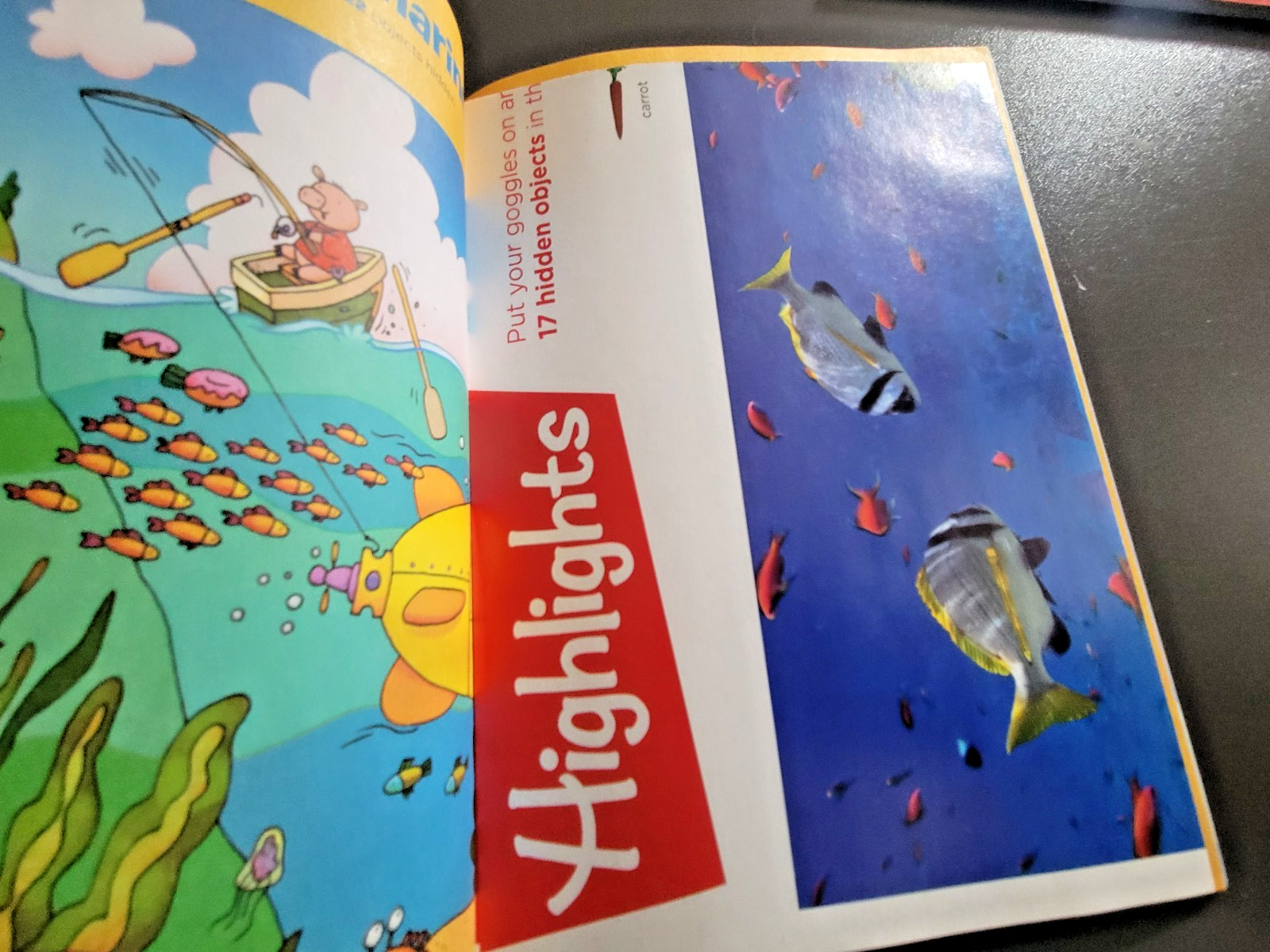Highlights Hidden Pictures- Special Edition -400+ Hidden Objects- Bonus Posters