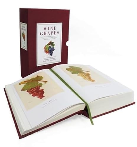 Wine Grapes, Jancis Robinson, Julia Harding, Jose Vouil