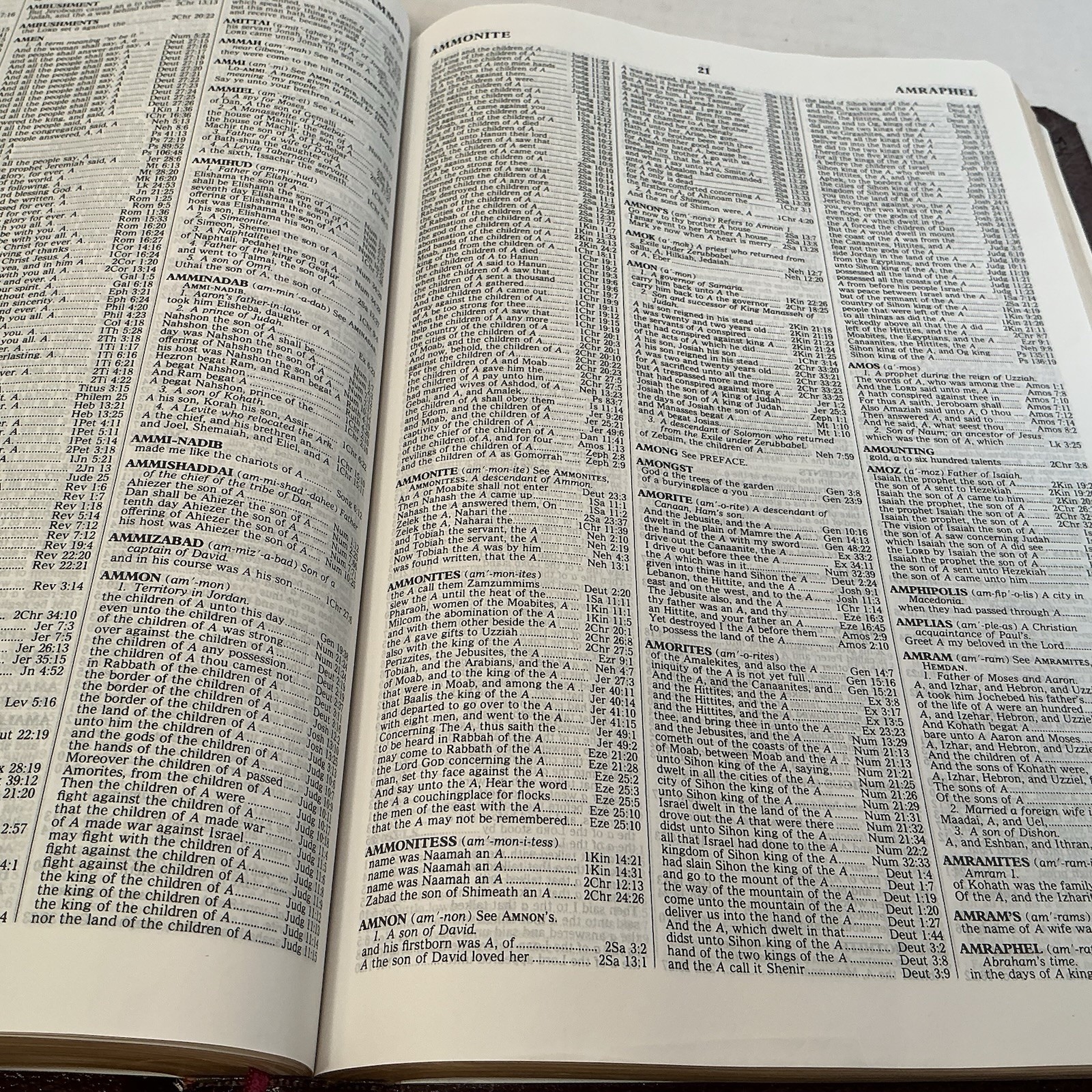 New Strong’s Reference Bible King James Version KJV BONDED LEATHER Nelson 1745EG
