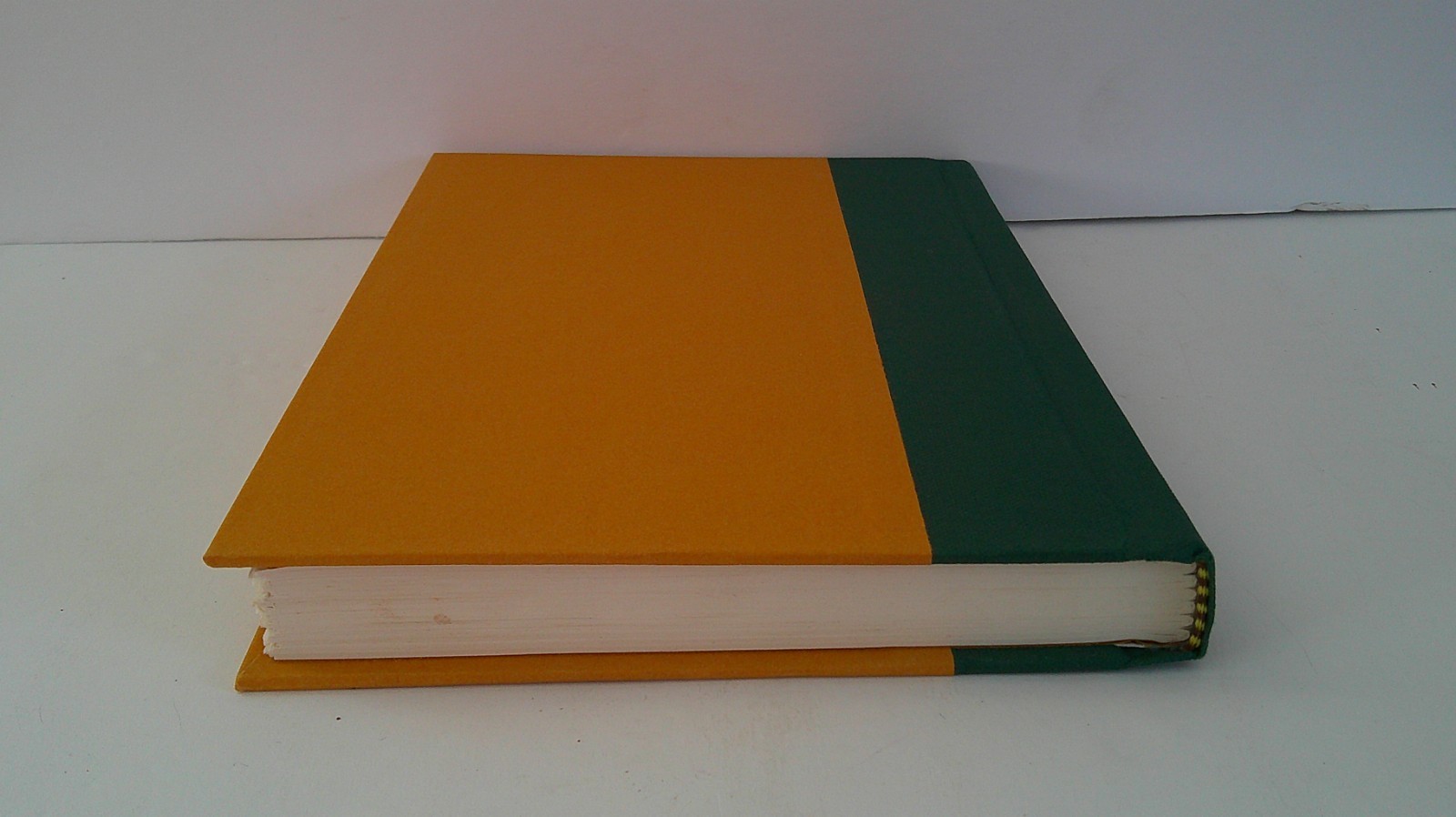 The Stranger In The Woods by Michael Finkel Illustrated Hardcover & Dust Jacket