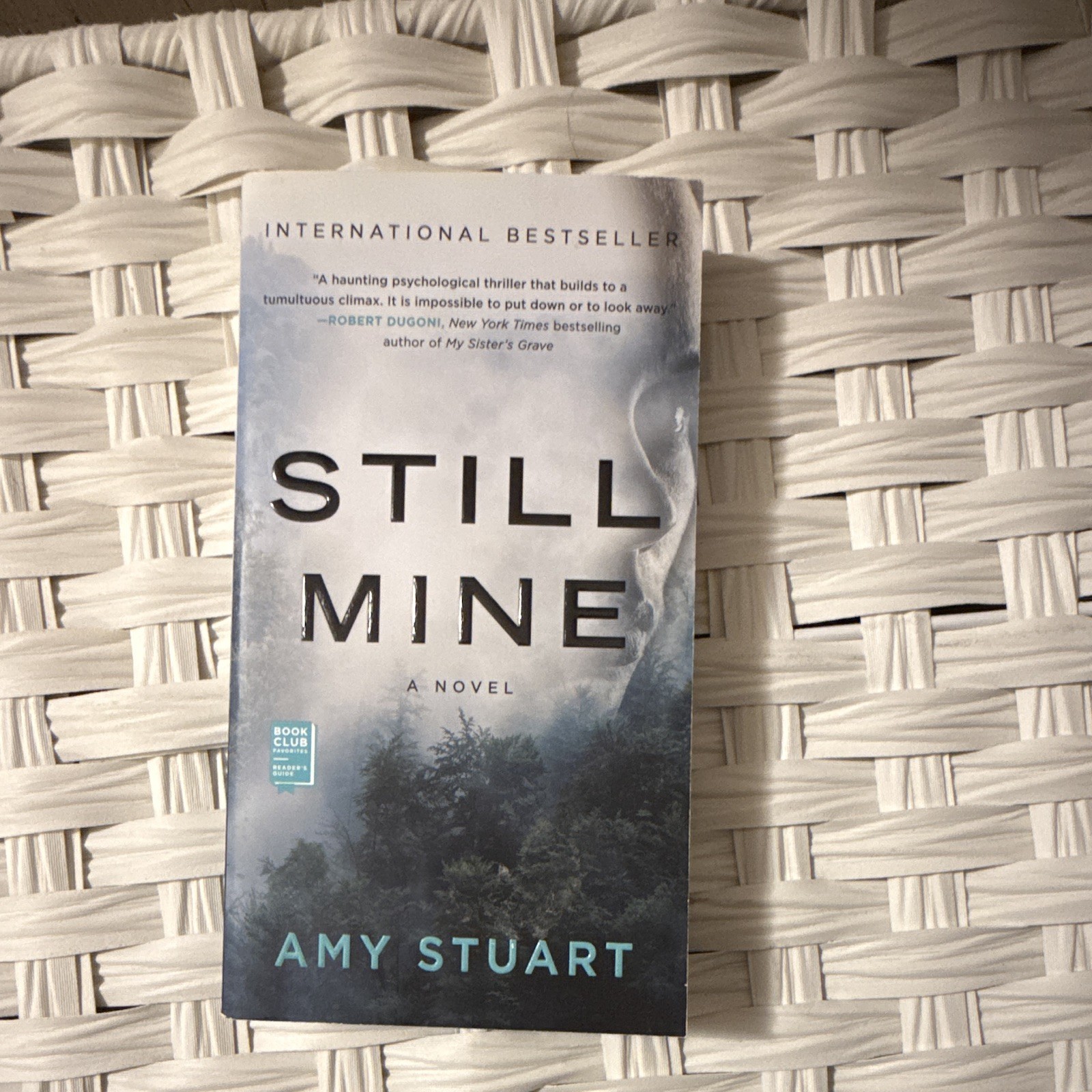 Amy Stuart Still Mine: A Novel Us-Tall Rack Paperback 2019 Pocket Books