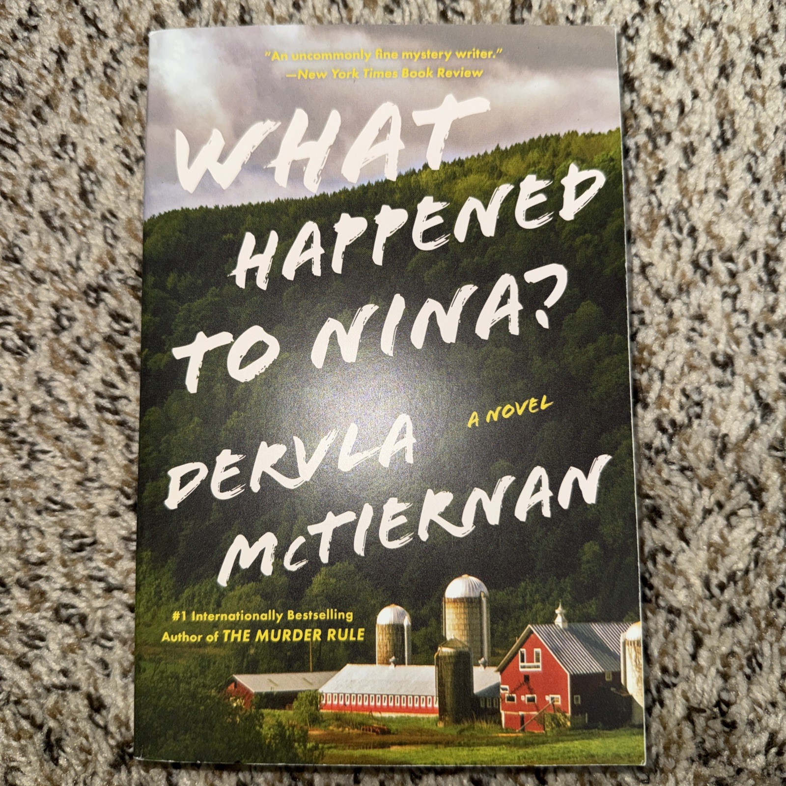 What Happened to Nina? A Novel by Dervla McTiernan (2024, Trade Paperback)