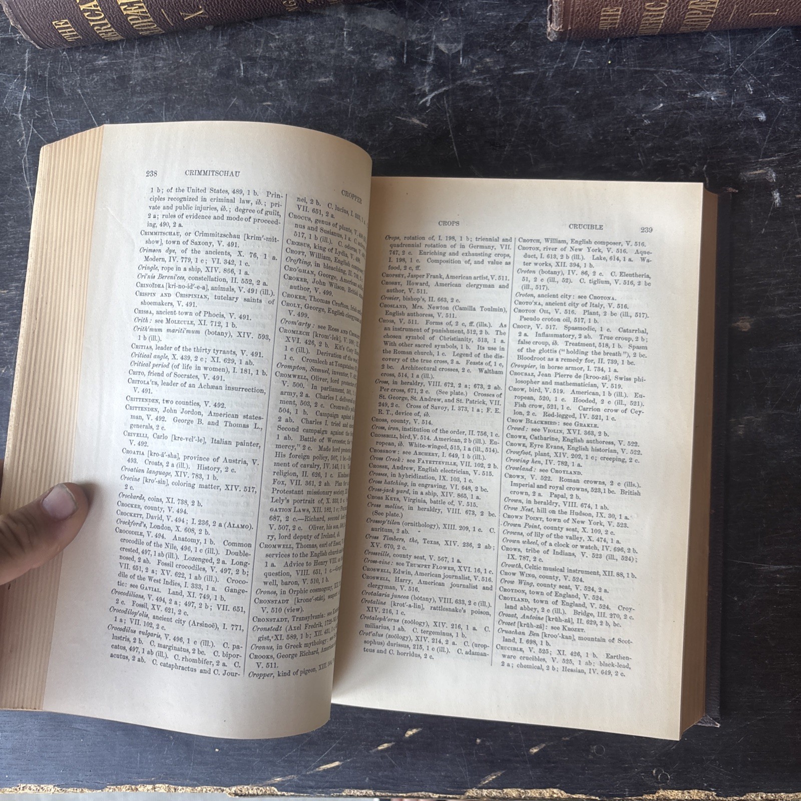 Appleton The American Cyclopedia, Complete 1-16 + Index Volume Set, 1883