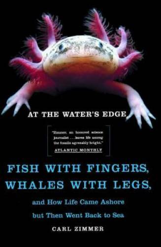 At the Water’s Edge : Fish with Fingers, Whales with Legs, and How Life C – GOOD