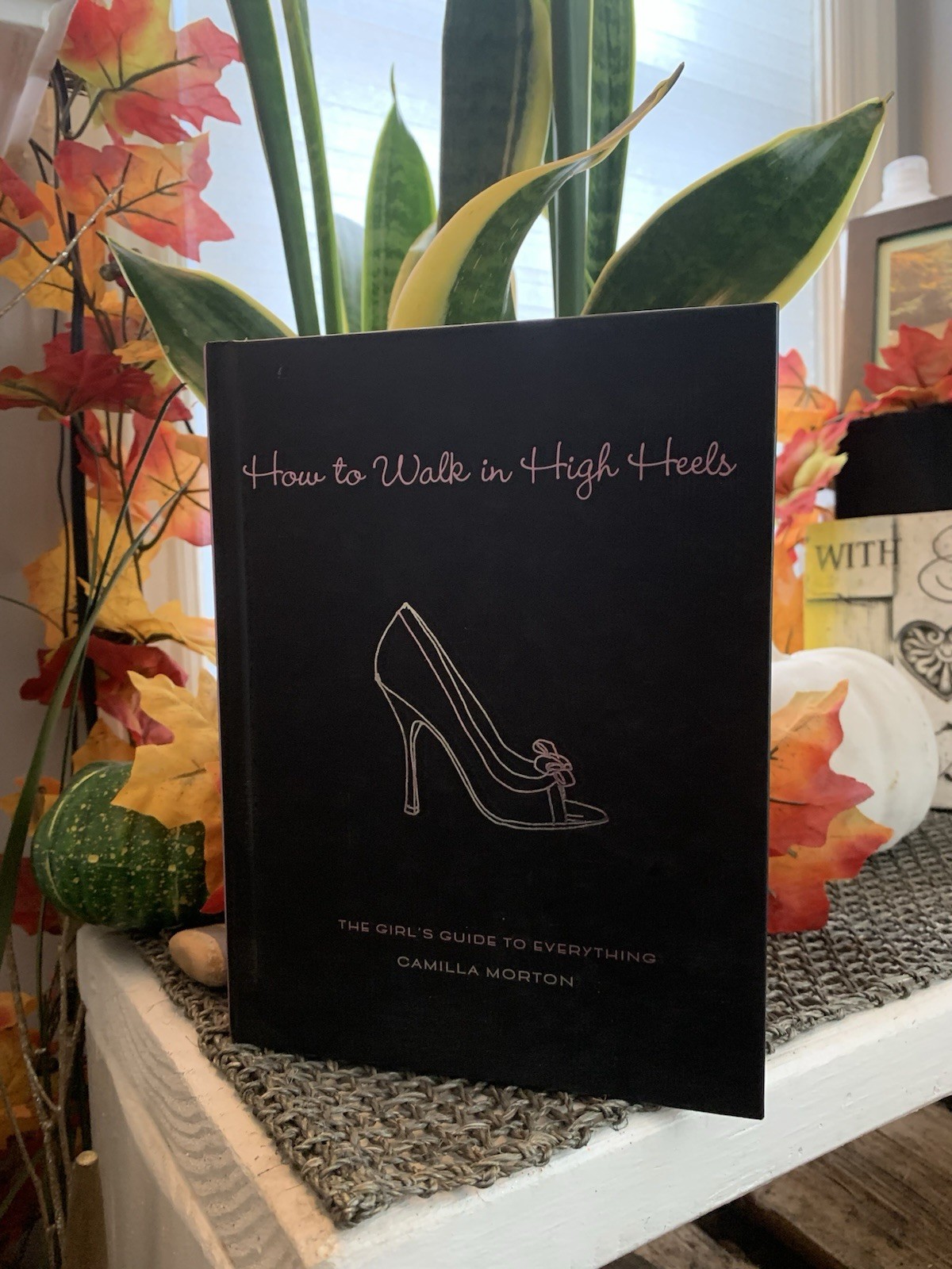 How to Walk in High Heels: The Girl’s Guide to Everything by Camilla Morton