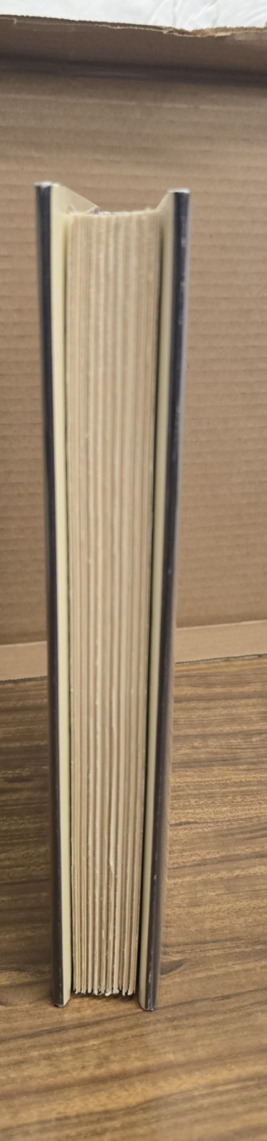 Hiddensee Gregory Maguire First Edition